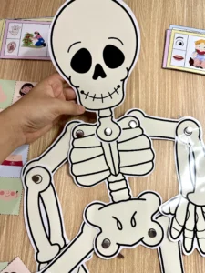 Kit Corpo Humano, Sequência do Corpo Humano Premium